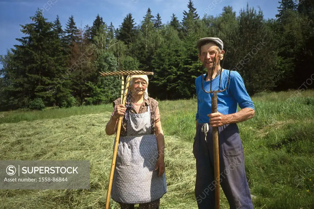 Czech republic, Dobra Voda, Forest edge, meadow, senior couple, Hay performances,  Central Europe, seniors, farmers, couple, hay harvest, field work, ...
