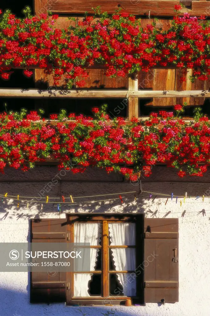 Farmhouse, detail, windows, balcony,  Flower jewelry,   House, residence, balcony hand-rails, wooden, is in store Graswang rural, rural flowers, geran...