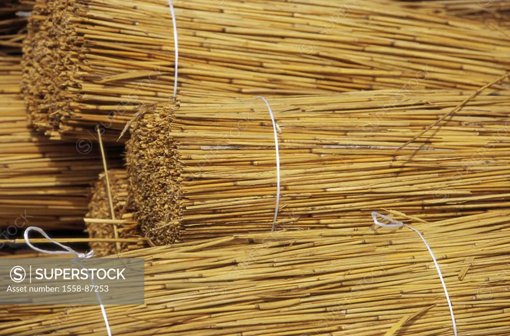 Reed, focused, stacked,  close-up,   Series, Reet, reed, grasses, Phragmites communis, bundle, stack, tied up stacked, quietly life, fact reception, c...