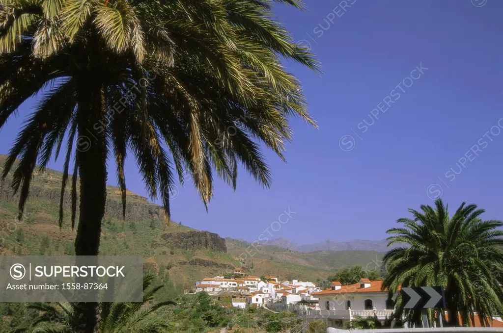 Spain, grain Canaria, Fataga,  skyline,   Canaries, island, highland, mountain village, Palmenoase,  Residences, houses, facades, white, rural, idylls...