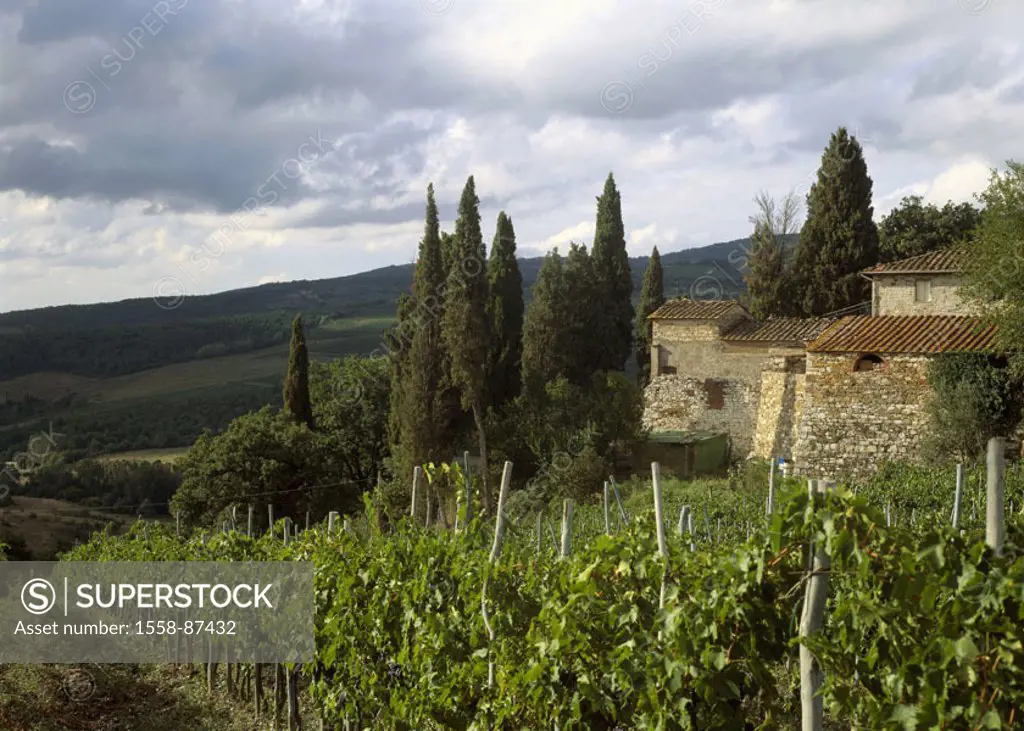 Italy, Tuscany, Radda, vineyard, Buildings, detail,   Chianti Classico area, Chiantiberge, hill landscape, hills, wine-growing area, wine-growing, vin...