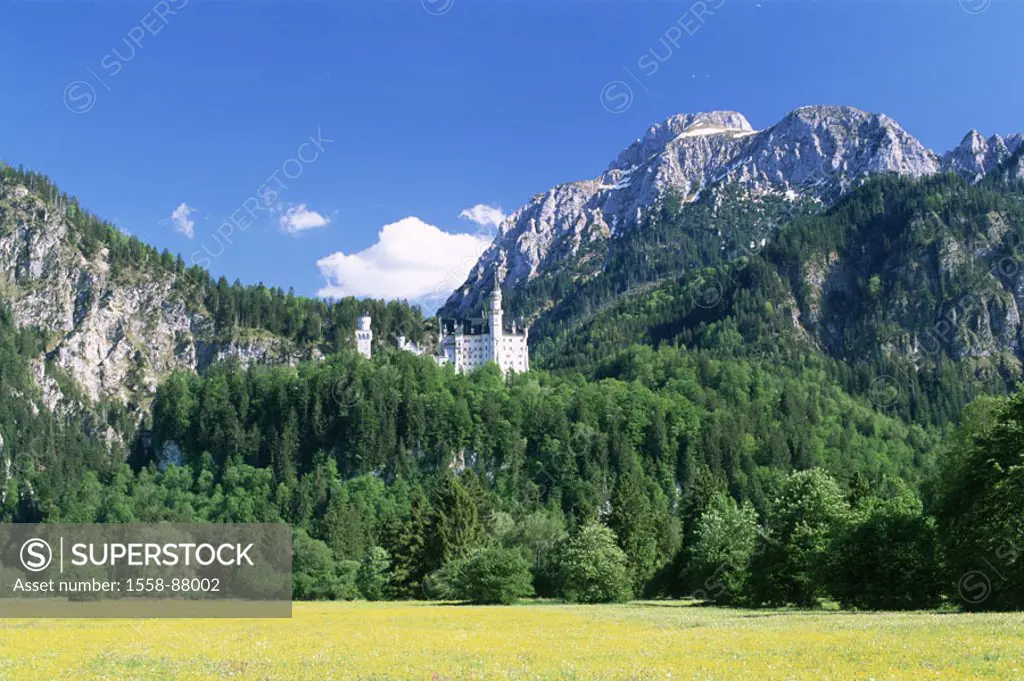 Germany, Bavaria, Allgaeu,  highland, palace Neuschwanstein,  summer,  Series, king palace, fairy-tale palace, 1868-86, King Ludwig II., Construction,...