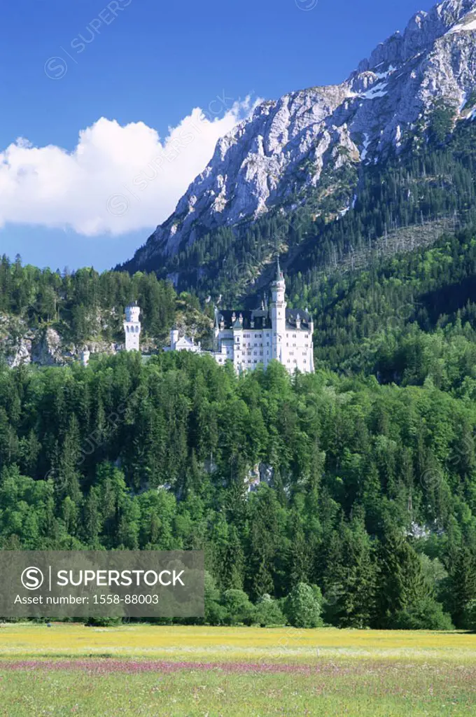 Germany, Bavaria, Allgaeu,  highland, palace Neuschwanstein,  summer,  Series, king palace, fairy-tale palace, 1868-86, King Ludwig II., Construction,...