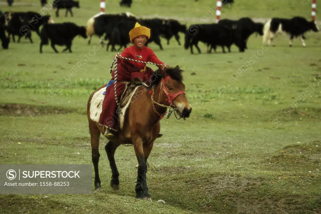 China, Tibet, meadow, herd, riders,  , Asia, inner Asia, China, west China, highland, landscape, Asiate, Tibeter, horse, rides, clothing, traditionall...