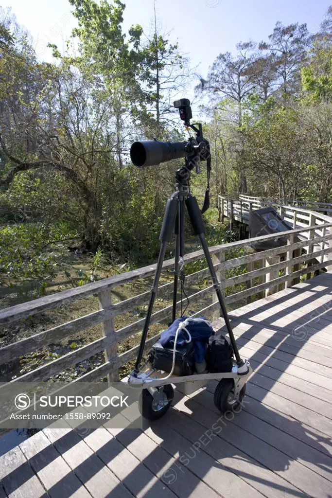 USA, Florida, Audubon Corkscrew  Swamp Sanctuary, flatly, bridge, Camera, tripod cars,  Reservation, protectorate, nature reserve, wood bridge, wetlan...