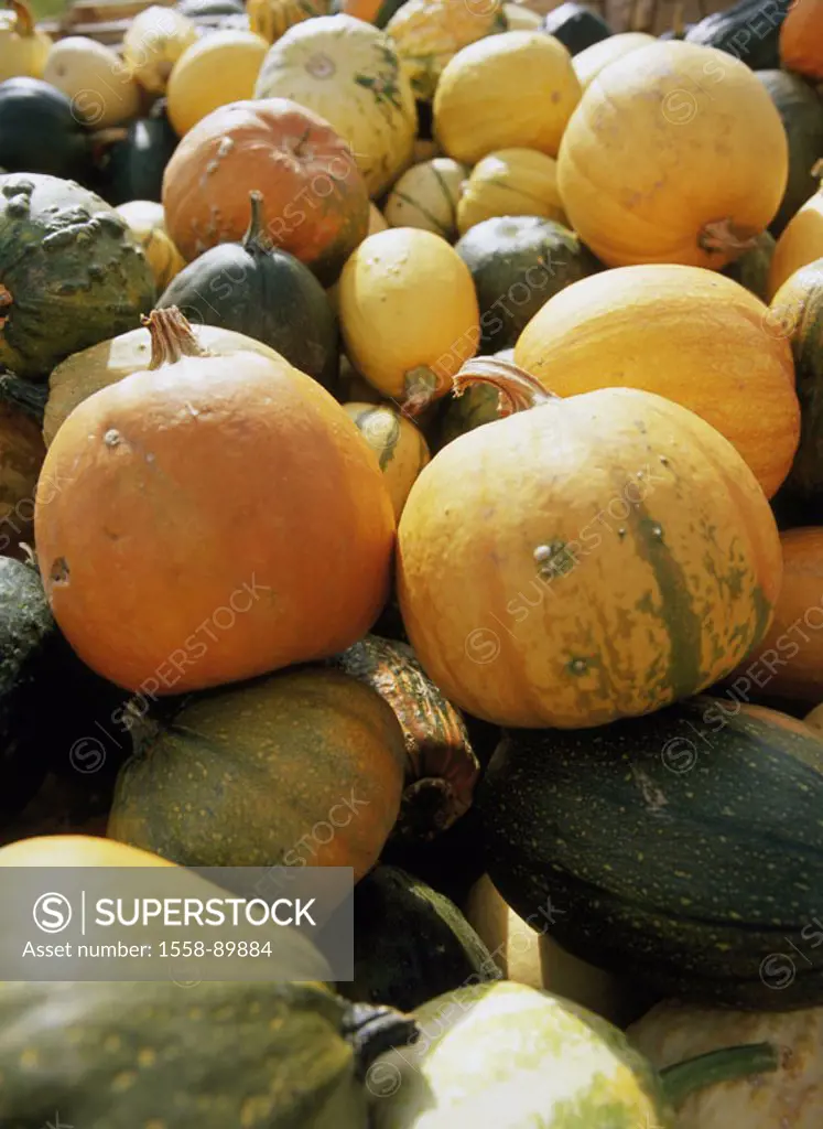 Winter squashes, many, detail,    Cucurbita, berry fruits, food winter squashes, ornament winter squashes, approximately, colors differently, multipli...