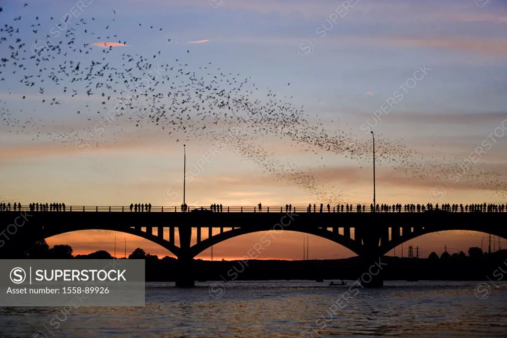 USA, Texas, Austin, Congress avenue, Bridge, river, bats, going out, Spectators, evening mood, City, silhouette, bridge, Colorado River, passer-bys, a...