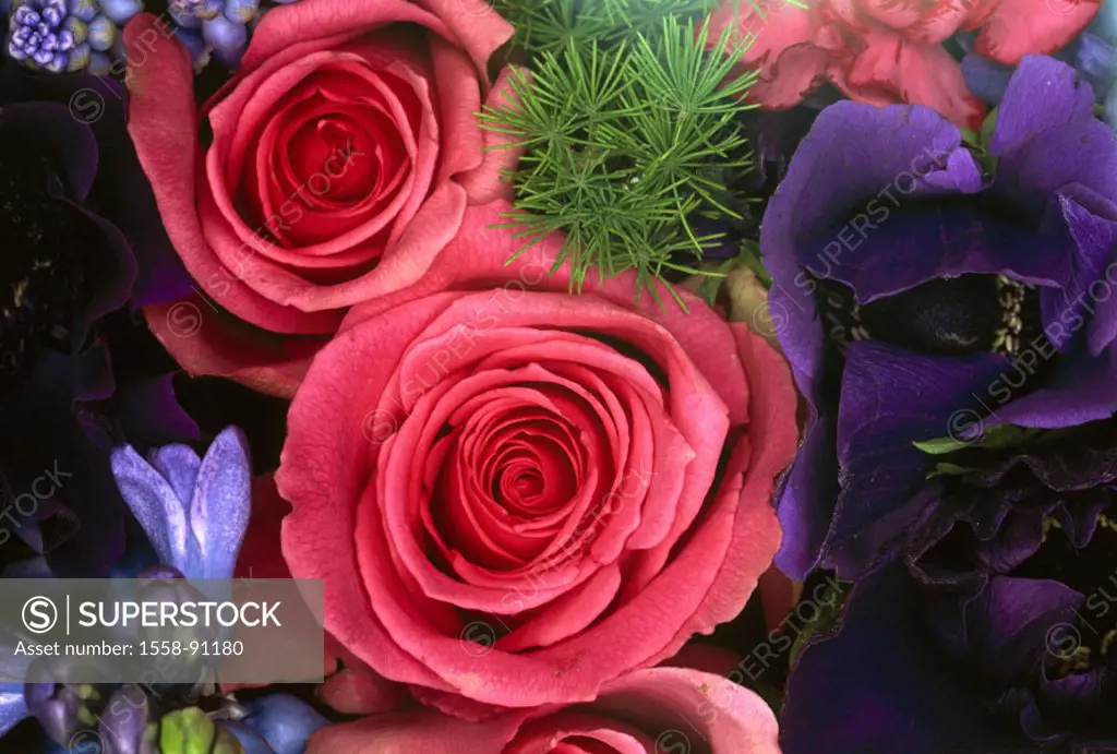 Flower bouquet, roses, anemones,  Freesias, blooms, close-up, quietly life,   Flowers, plants, nature, botany, Floristik, bouquet, Gesteck, skeins, fl...