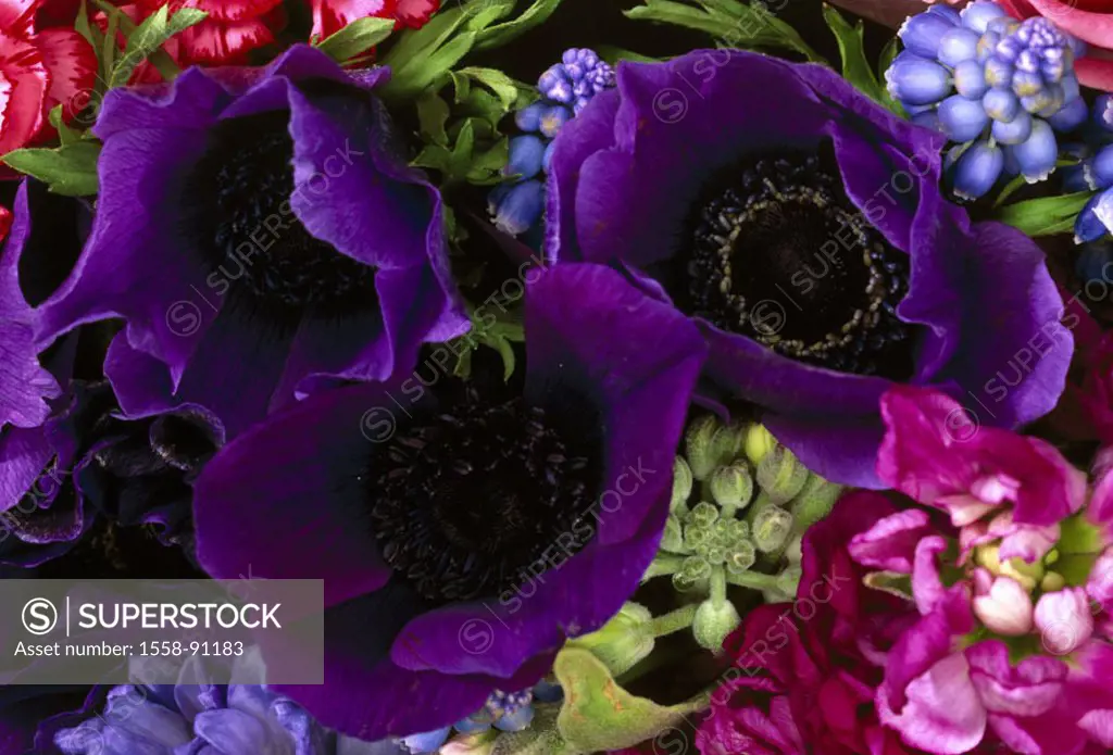 Flower bouquet, anemones, hyacinths,  Blooms, purple, pink, close-up, quietly life,   Flowers, plants, nature, botany, Floristik, bouquet, Gesteck, sk...
