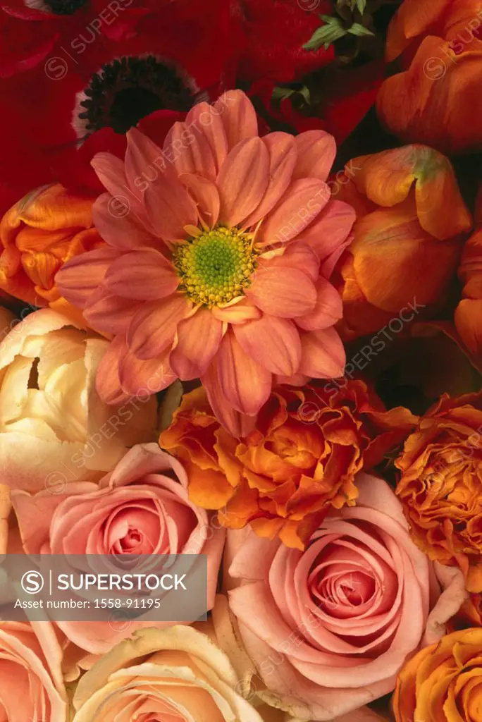 Flower bouquet, roses, in the spring flowers,  Blooms, pink, orange, close-up,  Quietly life,  Flowers, plants, nature, botany, Floristik, bouquet, Ge...