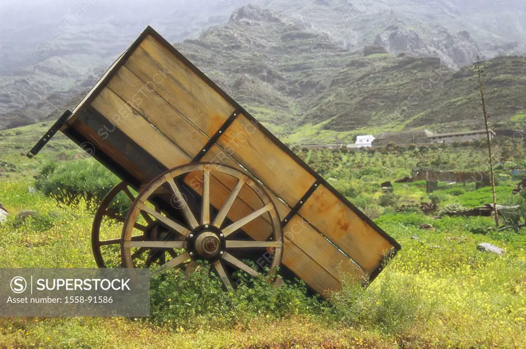 Spain, Canary islands, grain  Canaria, landscape, wood carts,   Canaries, island, vacation island, summer, vacation, trip, vacation, tourism, recupera...