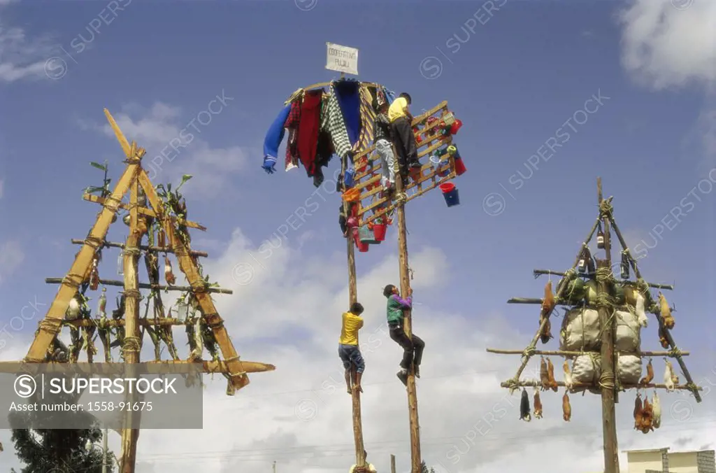Ecuador, Pujili, corpora Christi festival, Kletterstangen, traditions, men,  Up mountaineering, gifts, no mr,  Latin America, South America, Corpus-Ch...