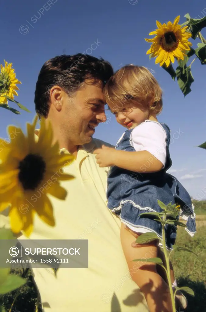 Father, daughter, sunflowers, carries,    Man, 30-40 years, parent, paternity, child, toddler, girls, 1-2 years, season, summer, outside, leisure time...