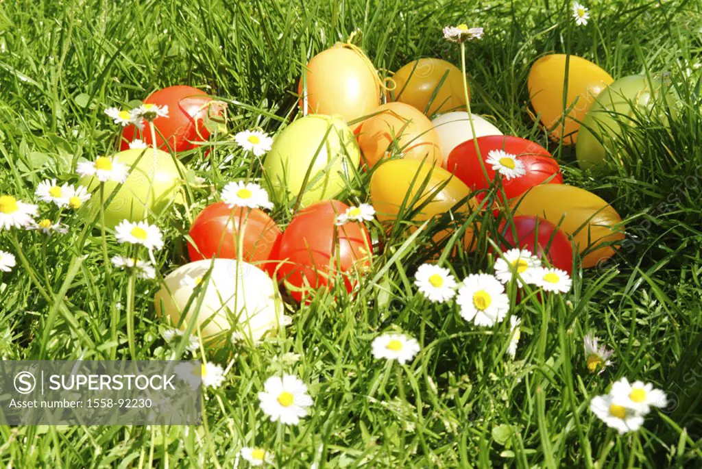 Meadow, daisy, Easter eggs,    Season, spring, spring, grass, flowers, blooms, blooms, Easter, Easter, tradition, Easter custom, eggs, colorfully, pai...