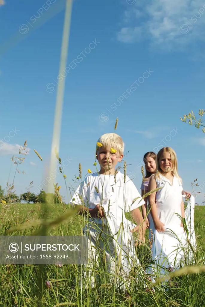 Meadow, children, plays, goes,    Girls, boy, friends, siblings, three, 6-10 years, together, friendship, leisure time, childhood, grasses, nature, su...