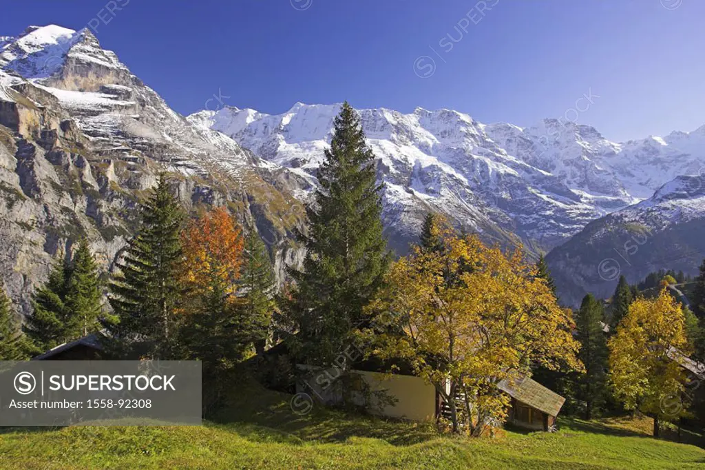 Switzerland, Bernese Oberland, Bergdorf, Mürren, opinion, autumn,   highland, mountains, mountains, summits, snow-covered, place, houses, residences, ...