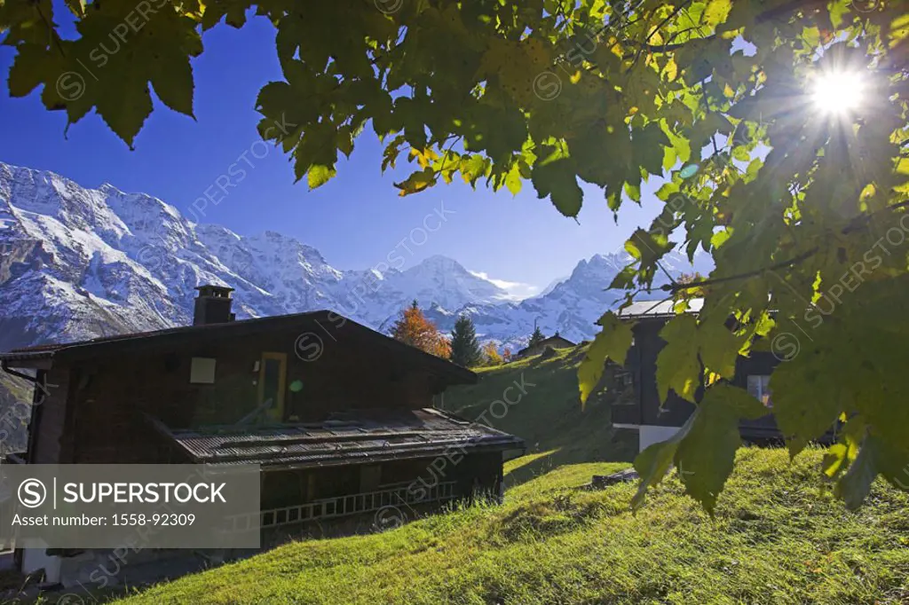 Switzerland, Bernese Oberland, Bergdorf, Mürren, Almhütte, back light,   highland, mountains, mountains, summits, snow-covered, place, houses, residen...