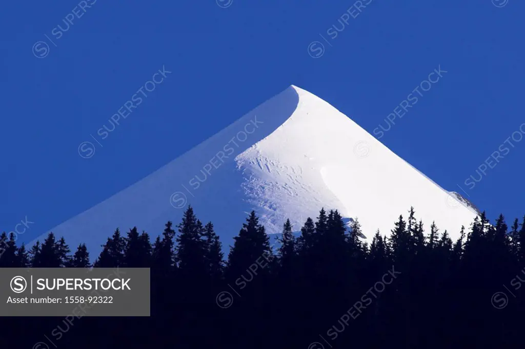 Switzerland, Bernese Oberland, Silberhorn, 3685 m, snow-covered,   Mountain, summits, snow-covered, snow-covered, silhouette, forest edge, treetops, l...