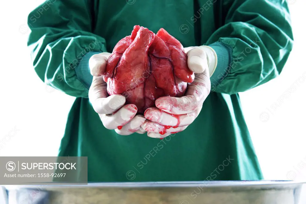 Surgeon, detail, hands, heart, holds,    Series, man, doctor, occupation, fixed occupation, doctors, heart surgeon, specialist, OP-Kleidung, gloves, O...