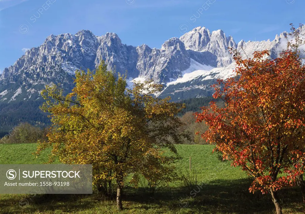 Austria, Tyrol, emperor mountains,  Meadow, trees, fall foliage,   Europe, North Tyrolean lime Alps, Alps, mountains, mountains, wild emperor, landsca...
