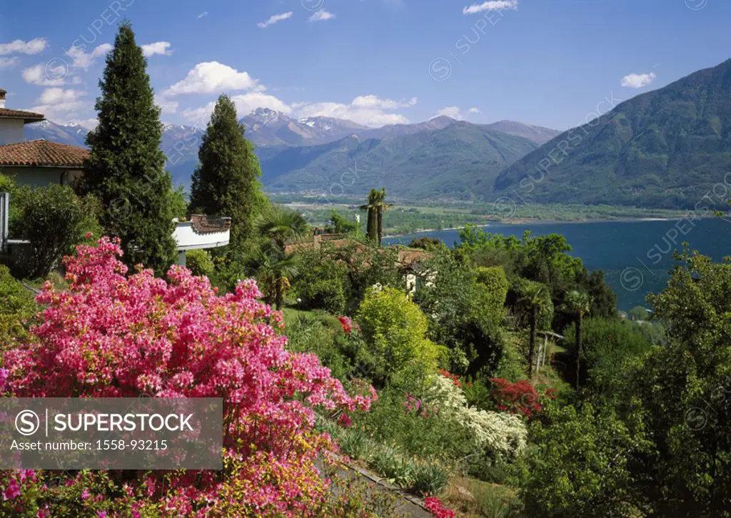 Switzerland, Tessin, Lago Maggiore, Locarno, Landscape, villa,    Europe, destination, city, shores, sea, estates, house, garden, vegetation, plants, ...