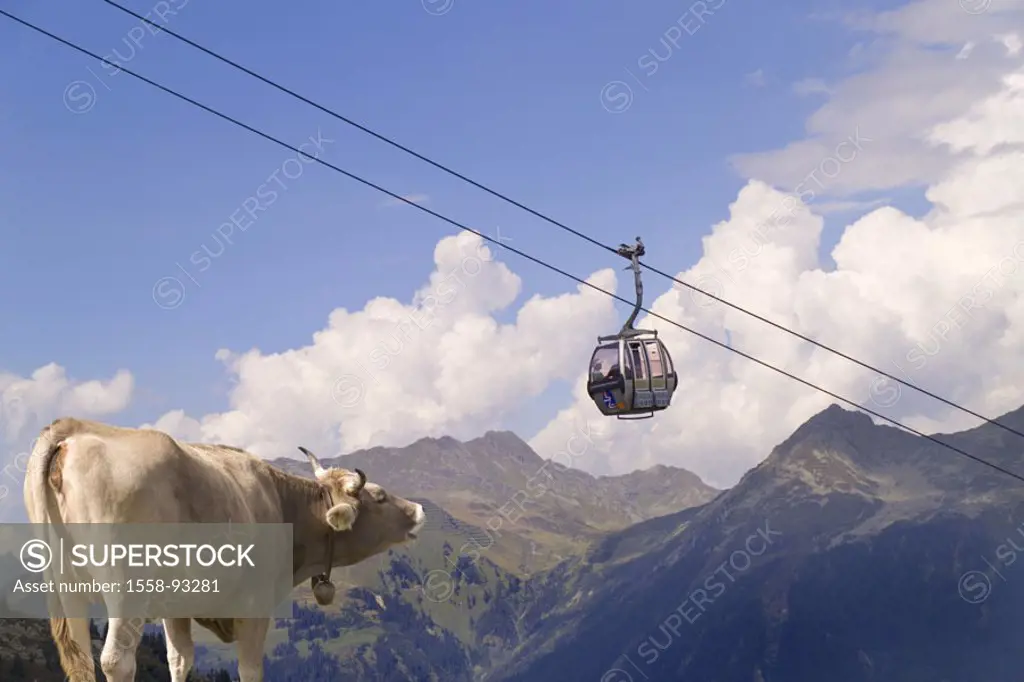 Austria, Vorarlberg, Montafon,  Silvretta novas, cable railway, gondola,  Cow, mountain panorama, M,  Europe, Alps, central Alps, mountains, highlan...
