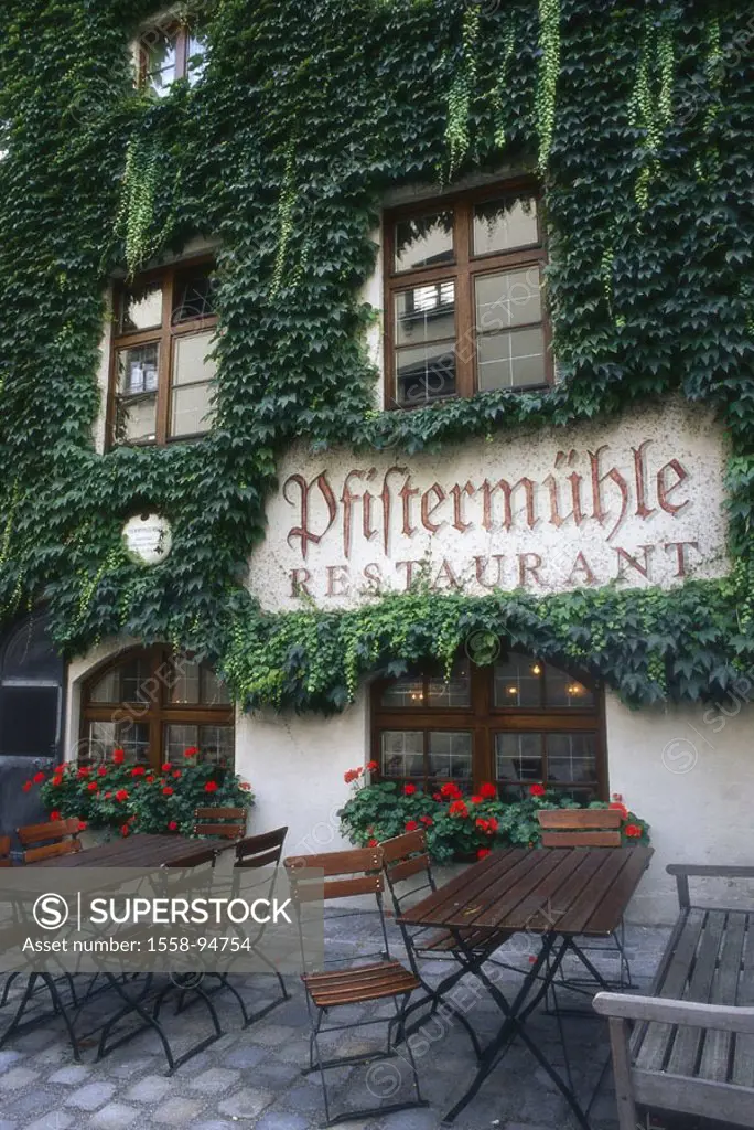 Germany, Bavaria, Munich,  Platzl hotel, restaurant Pfistermühle,  Facade, detail, climbing plants,  Europe, Southern Germany, Upper Bavaria, sight, g...