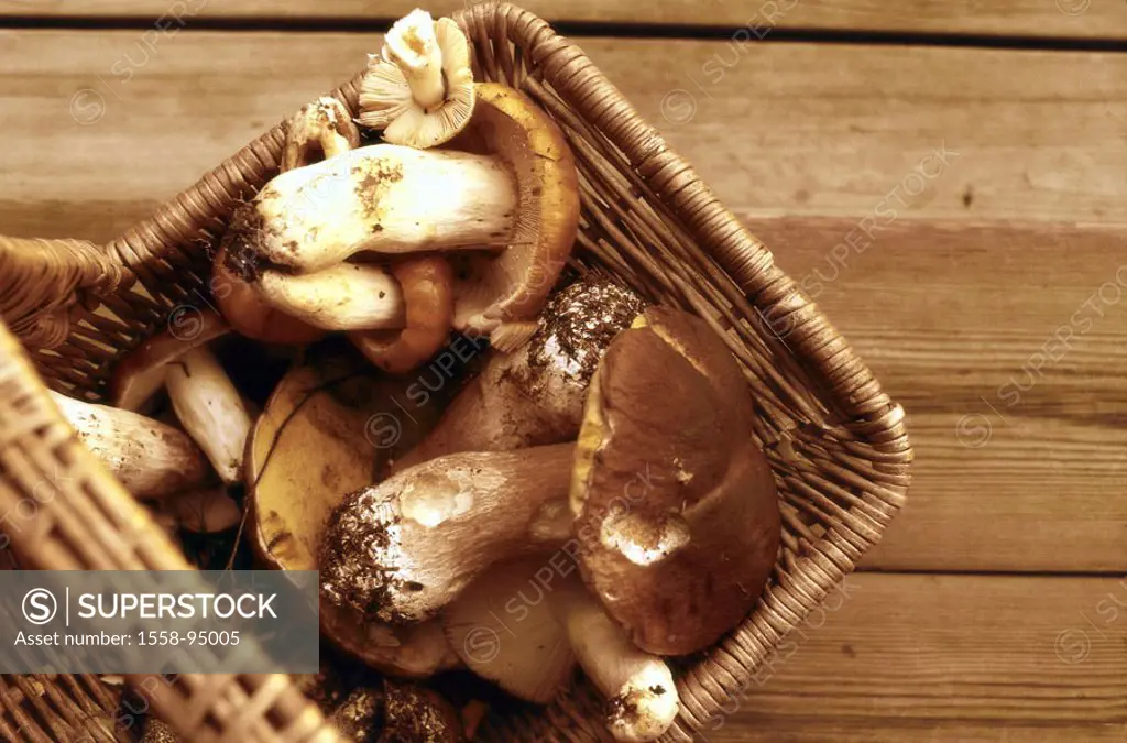 Basket, fungi, detail,    Food, fresh, edible, enjoyable, specialty, delicacy, food fungi, stone fungus, collected, collects, seeks, concept, fungus s...