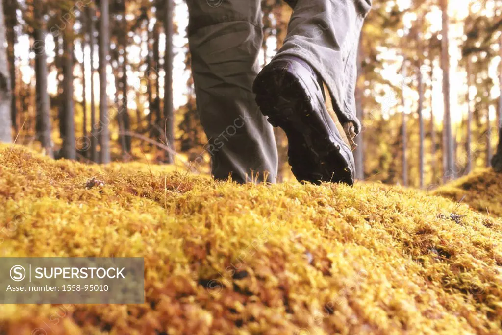 Meadow, hikers, legs, detail,  going, view from behind,   Nature, forest ground, vegetation, moss, forest edge, traveling shoe, clothing, robustly, st...