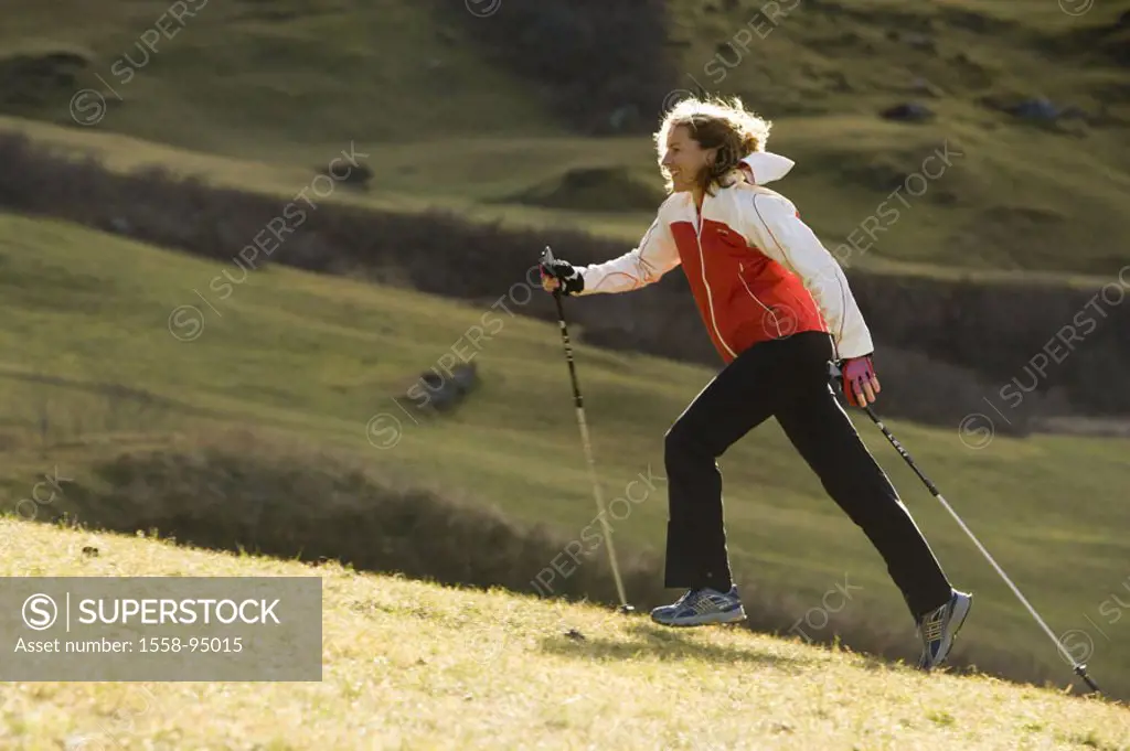 Mountain meadow, woman, Nordic Walking, Autumn,   Series, 20-30 years, 30-40 years, sportswoman, sport, run sport, movement, going, running, uphill, u...