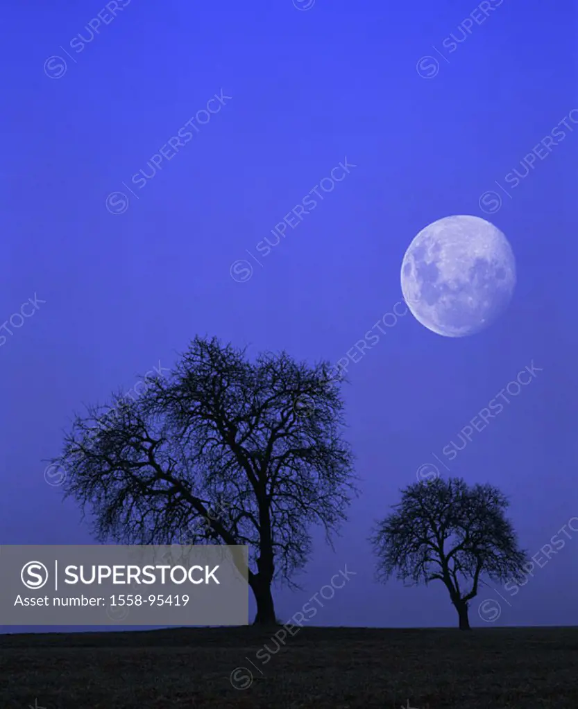 Trees, silhouette, full moon, night, M,