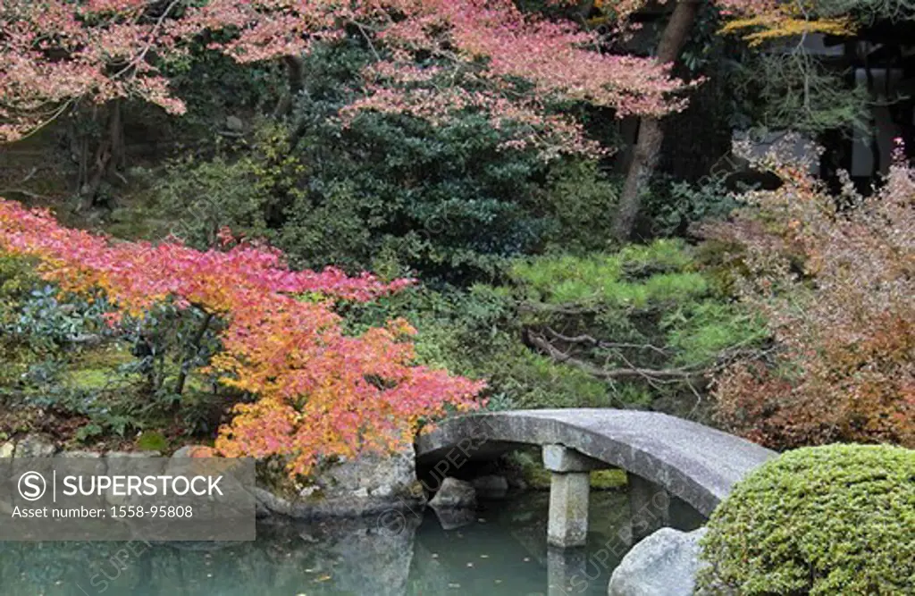 Japan, Kyoto, Shorenin temples, garden,  Ryujin-ike pond, No-hashi bridge,   Asia, Eastern Asia, Japanese, grounds, vegetation, trees, shrubs, abandon...