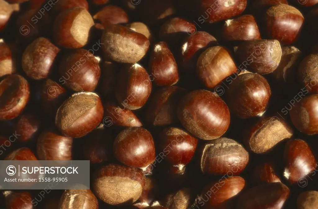 Noble chestnuts, Castanea sativa,   Real chestnuts, beech plants, Nussfrüchte, Esskastanien, Ess-Kastanien, Maroni, edible, food, quietly life, fact r...