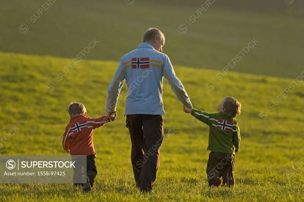 Meadow, father, children, twins,  Walk, view from behind, autumn,   Series, man, boys, two, hand in hand, going, together, cheerfully, cohesion, happi...