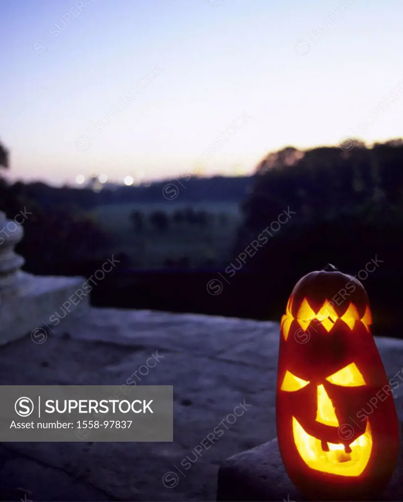 Halloween, pumpkin lantern, twilight,   Autumn, Halloween decoration, decoration, lantern, Jack-O-Lantern, Halloween pumpkin, pumpkin, hollowed out, f...
