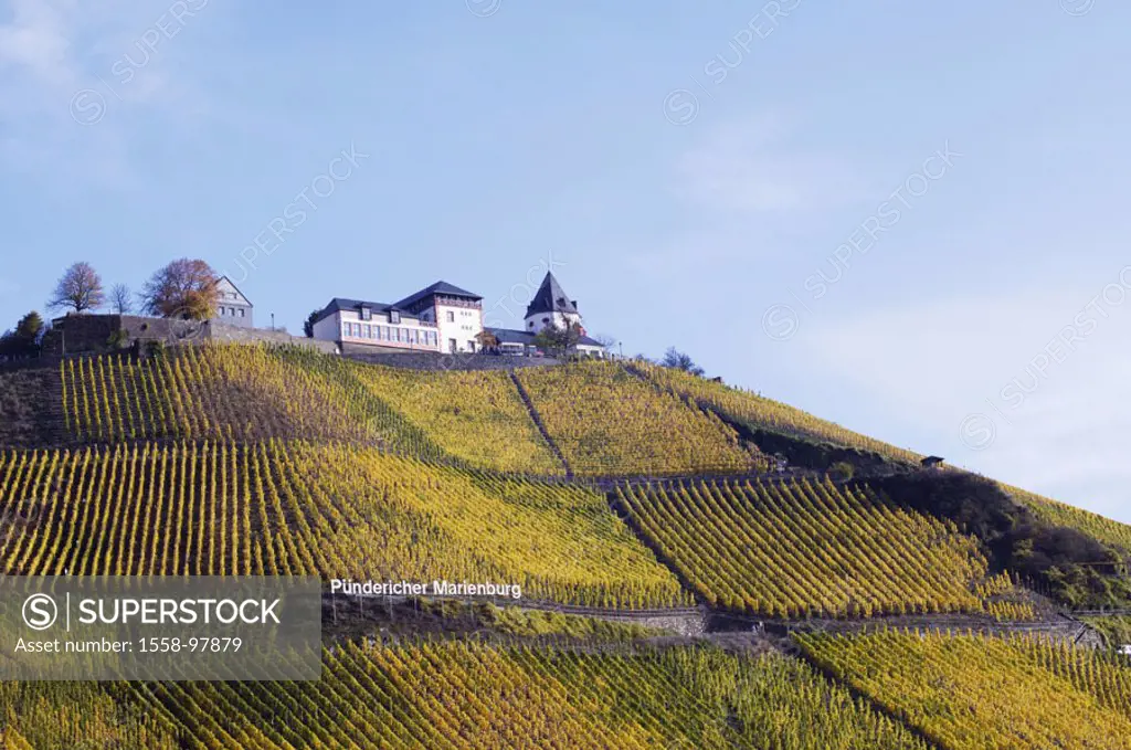 Germany, Rhineland-Palatinate, Mosalee, Pünderich, rise, vineyard, Marienburg,  Autumn,  Mosalee valley, wine place, hills, cultivation, wine, hills, ...