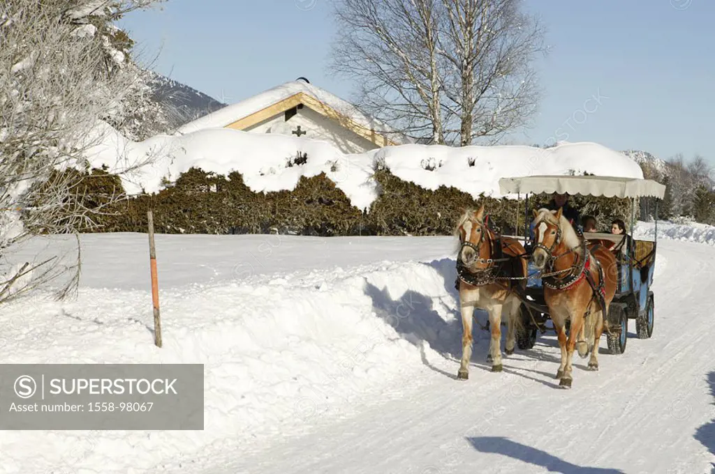Winter landscape, horse carriage, couple, young, ride in an carriage,   Series, landscape, carriage, horses, Kutschpferde, Haflinger, enjoying coachme...