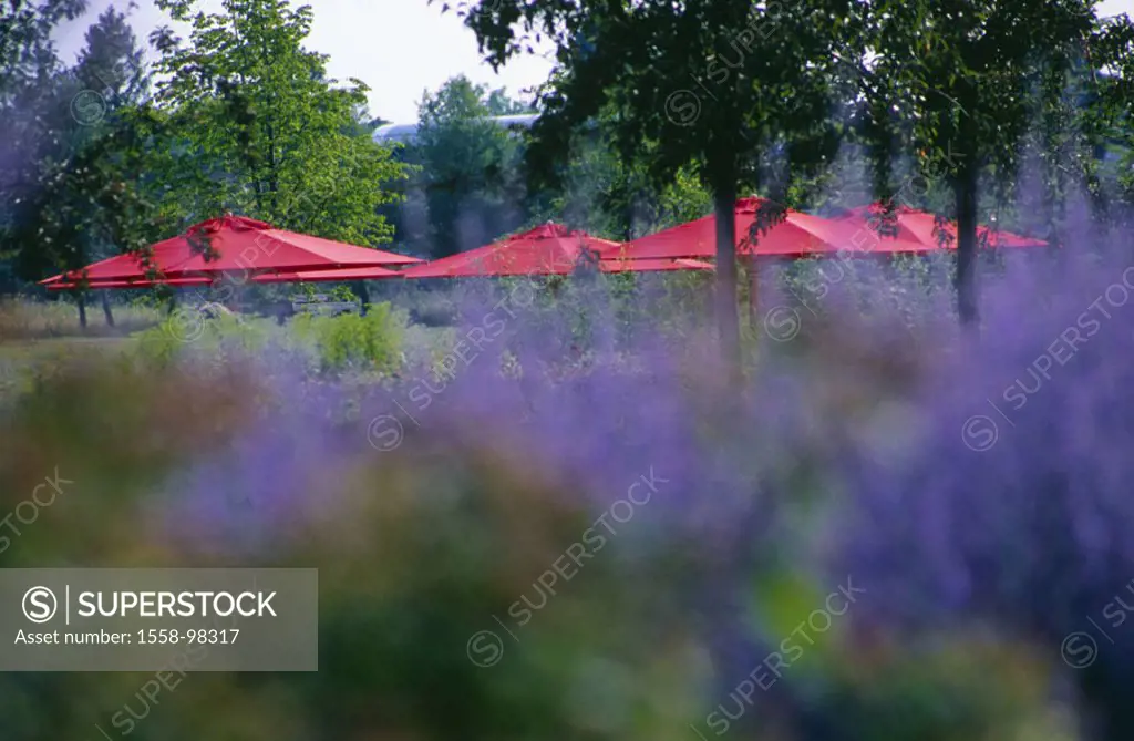 Park, shrubs, gaze parasols,  summer,   Munich, BUGA, park, garden, grounds, vegetation, hedge, flowers, trees, clearing, umbrellas red, hidden sun pr...