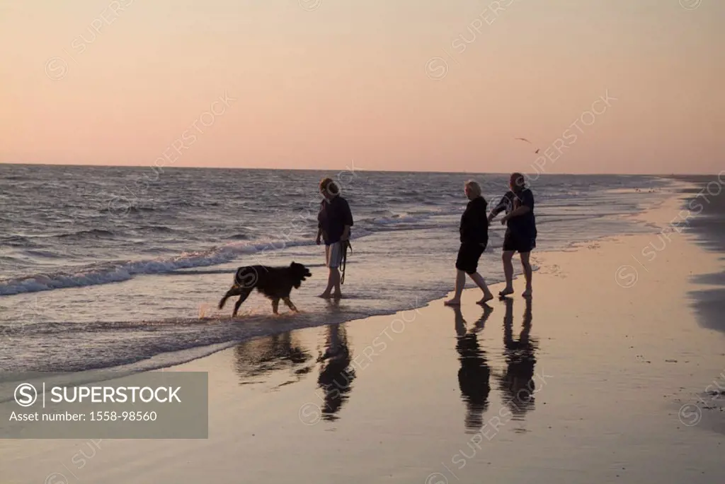 Denmark, island Romo, Lakolk,  Beach, people, dog, walk,  Sunset,  Römö, sandy beach, beach walk, evening walk, relaxation, silence, silence, sea, sur...