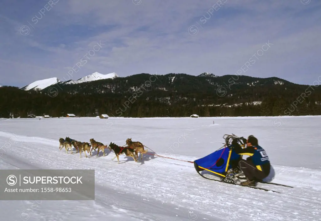 Winter landscape, dog sleighs,    highland, winters, nature, season, snow, snow surface, sport, hobby, winter sport, dog sport, animals, sleigh dogs, ...