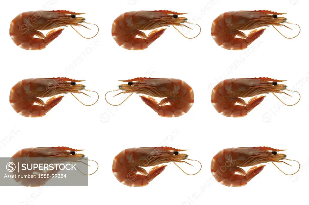 Seafood, shrimps,    Series, deep sea shrimps, newly, seafood, crustaceans, crustaceans, uncooked, roughly, symbol, fish court, specialty, food, quiet...