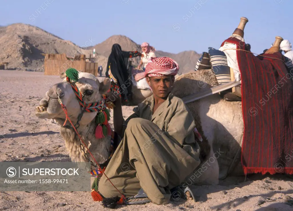 Egypt, Sahara, campsite, Bedouin, camels, rest, , Gravel desert, mountains, highland, Egyptians, natives, caravan, man, boy, Palestinians, headgear, P...