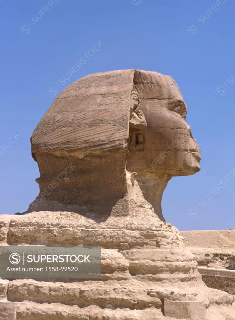 Egypt, Gizeh, sphinx, detail,    Fable natures, about 2500 v.Ch., Representation, King Chephren, 20 m high, 73,5 m long, landmarks, UNESCO-World Herit...