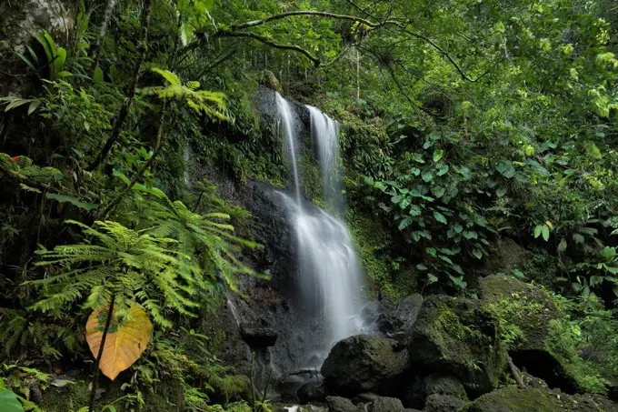 Guadeloupe, France, the Caribbean, island, rainforest, waterfall, Cascade trois des Cornes, scenery,