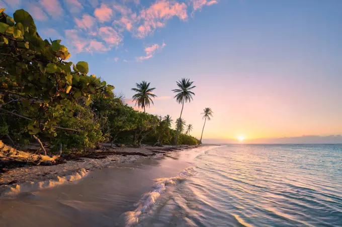 Guadeloupe, the Caribbean, France, island, tropical, paradise, palms, beach, sea, Sand, sunrise, back light,