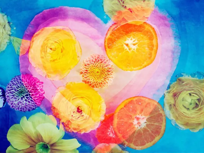 Composing of blossoms and slices of orange infront of painted heart,