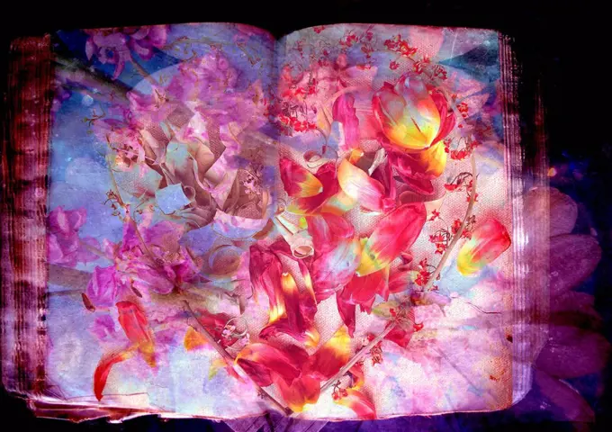 Photomontage of flowers and heart on an old book