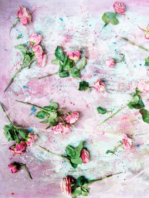 poetic photomontage of pink roses on painted ground with textures of floral ornaments
