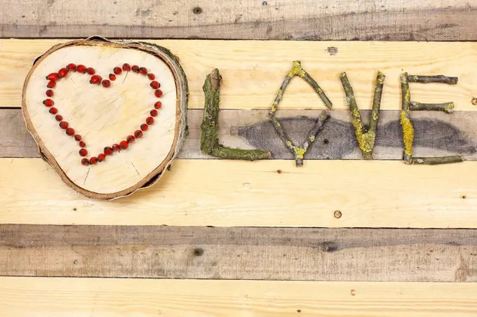 Heart made of rose hips on wooden slice, 'Love'