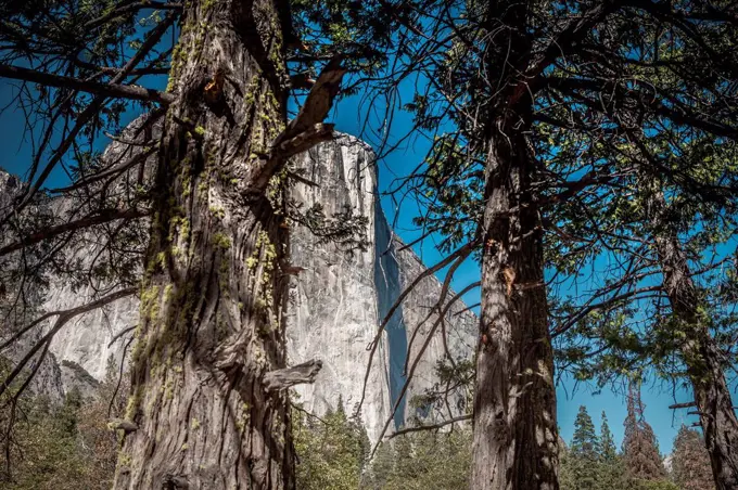 USA, California, Yosemite National Park